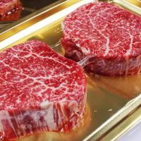 拉布布labubu搪胶可口可乐娃衣一二三代17cm夏季坐站立背带裤套装